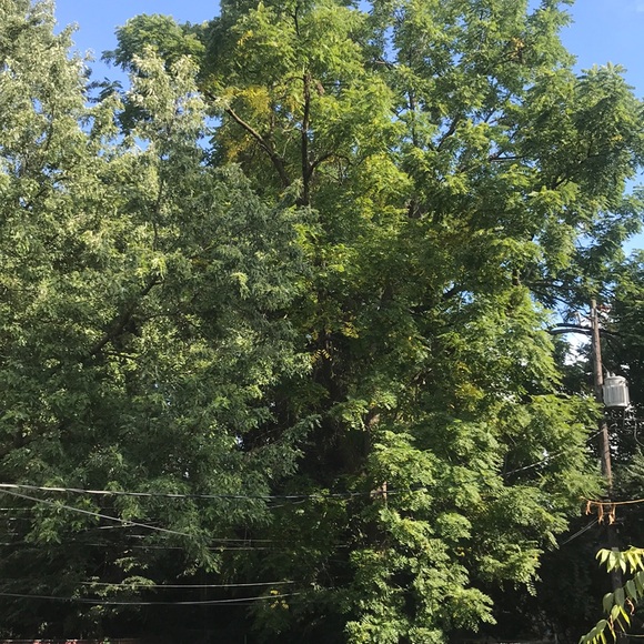 Meet your Posher, James - Picture 1 of 1